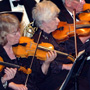 violin